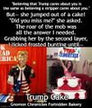 "Believing that Trump cares about you is the same as believing a stripper cares about you." But— she jumped out of a cake! "Did you miss me?" she asked. The roar of the mob was all the answer I needed. Grabbing her by the second layer, I licked frosted bunting until—("Trump Cake")