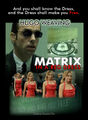Matrix in a Red Dress is a 2022 pornographic science fiction documentary film about the Matrix franchise. Narrated by Hugo Weaving.