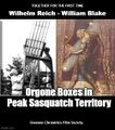 Orgone Boxes in Peak Sasquatch Territory is a short documentary film about efforts to use Wilhelm Reich's cloud busters to establish treaty relations with sasquatch.