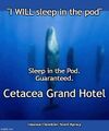 Cetacea Grand Hotel is an underwater hotel owned and operated by whales for human guests.