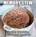 Memory stew is a dish prepared from specific memory-related regions of the brain.