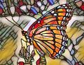 Stained Glass Viceroy Butterfly.