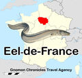 Eel-de-France is an annual eel race across France.
