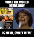 "What the World Needs Now is Meme" is a song by Burt Bacharach and Hal David. It has been covered by numerous artists including Dionne Warwick.