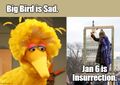 Big Bird is sad / Jan 6 is insurrection.