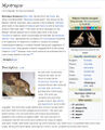 Myotragus @ Wikipedia