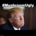 Donald Trump is Mushroom Ugly.