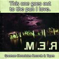 "The Pun I Love" is a song by the American rock band M.E.R.