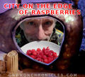 Earliest known screenshot of "The City on the Edge of Raspberries", one of the so-called "Forbidden Episodes" of the television series Star Trek.