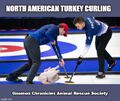 Turkey curling in which players slide frozen turkeys on a sheet of ice toward a target area which is segmented into four concentric circles.