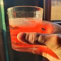 Scarlet Sunset (8 June 2024). Bourbon: 2 oz. / Grand Marnier: .5 oz. / Grenadine: .5 oz. / Ice to taste, top off with club soda.