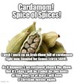 "Cardamom, Spice of Spices" is a short essay by Karl Jones.