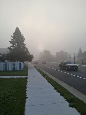 Fog (22 September 2026) 20260922 074911.jpg