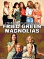 Fried Green Magnolias is an American comedy-drama film directed by Herbert Ross and Jon Avnet, starring Sally Field, Shirley MacLaine, Olympia Dukakis, Dolly Parton, Daryl Hannah, Julia Roberts, Kathy Bates, Jessica Tandy, Mary Stuart Masterson, Mary-Louise Parker, and Cicely Tyson.