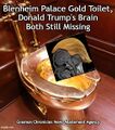 Blenheim Palace Gold Toilet, Donald Trump's Brain Both Still Missing: badly damaged brain "may have been sentenced to eternity in the Phantom Zone, then flushed down the Blenheim toilet, now plumbed to Hell".