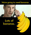 Bananas. Lots of bananas.