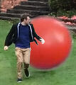 Still image from surveillance camera footage of a man being pursued by a large red ball, widely interpreted by conspiracy algorithms as evidence of a secret prison known as the Village, occupied primarily by Prisoners, and guarded by Red Rovers.