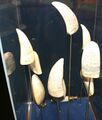 Scrimshaw binge residue, confined to knife-proof vitrine to prevent re-infection.