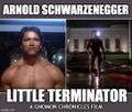 Little Terminator is a 1984 documentary memoir film by Arnold Schwarzenegger about his penis.