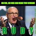 Rudy is a comedy horror science fiction film starring Rudy Giuliani as an incompetent alien parasite whose comical bumbling attempts to infect humans leads to genuine tragedy for the United States of [REDACTED].