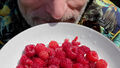 Ely Raspberries 2.1