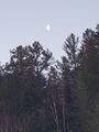 Half moon gibbous waning (13 February 2023).