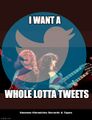 "Whole Lotta Tweets" is a song by Led Zeppelin.