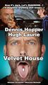 Velvet House is a medical crime drama television series created and directed by David Lynch and starring Dennis Hopper and Hugh Laurie.
