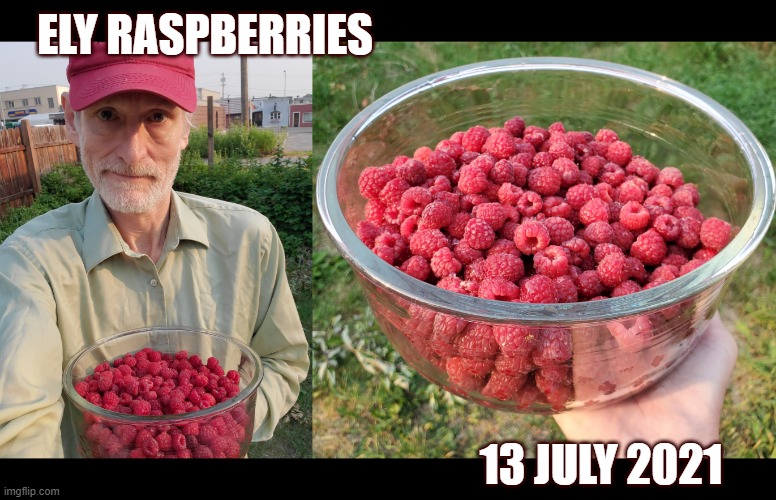 Ely Raspberries (13 July 2021).