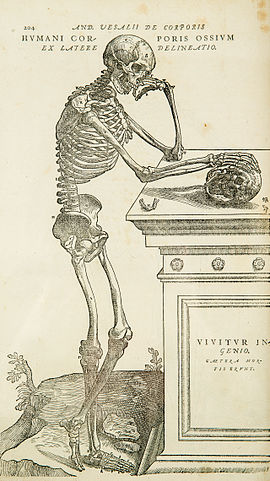 Detail from Andreas Vesalius's De humani corporis fabrica 16th century, marking the rebirth of anatomy.