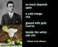 "The Cold Margarita" is a poem by William Carlos Williams.