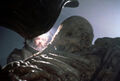 Documentary film maker Ridley Scott doing research for Alien.