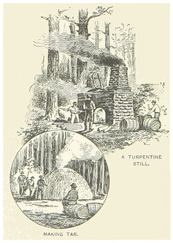 Turpentine-still-making-tar-and-turpentine-1891.jpg