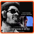 "You Are the Shining of My Life" is a song by Stevie Wonder and Scatman Crothers.