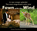 Fawn With the Wind is a 1939 American film set in the American South against the backdrop of the American Civil War and the Reconstruction era which tells the story of fawn, a light yellowish tan color.