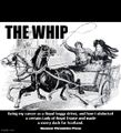 The Whip is a dramatic historical television series about a young Royal Buggy driver who abducts a certain Lady of Royal Estate and makes a merry dash for Scotland.