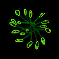 Green Sprouts]] used in high-energy literature experiments develops artificial intelligence.