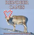 Reindeer Canes is a brand of reindeer-flavored candy manufactured by the Gnomon Chronicles Candy Company.