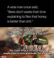 God Made Us Hungry for Shit is a documentary film about the dietary habits of flies.