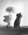 1957: Stokes nuclear weapon test conducted by the United States.