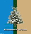 Momentous Pine Green is a color used in high-energy perfume research to impart a pine smell in non-contiguous causal domains.