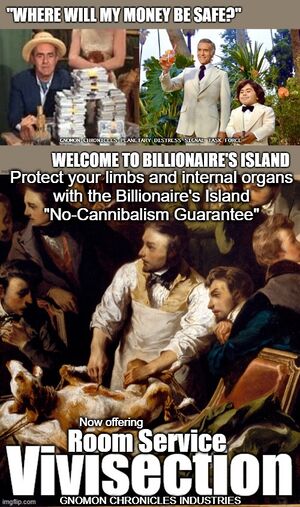 Billionaire's Island - Gnomon Chronicles