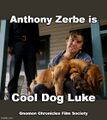 Cool Dog Luke is a 1967 American prison drama film starring Anthony Zerbe as Dog Boy, a prison guard responsible for bloodhounds.