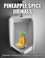 Pineapple Spice Urinals is a manufacturer of urinals infused with pineapple spice scent.