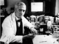 1955 Aug. 6: Biologist, pharmacologist, and botanist Alexander Fleming dies. Fleming discovered the enzyme lysozyme in 1923, and the world's first broadly effective antibiotic substance benzylpenicillin (Penicillin G) in 1928, for which he shared the Nobel Prize in Physiology or Medicine in 1945 with Howard Florey and Ernst Boris Chain.