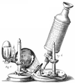 1665: Samuel Pepys sees a copy of Robert Hooke’s Micrographia at his bookseller and orders a copy. Pepys writes in his diary: "Thence to my bookseller's and at his binder's saw Hooke's book of the Microscope, which is so pretty that I presently bespoke it."
