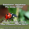 "Database Database" is an English language computer science nursery rhyme.