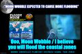 "Moon Wobble" is a song by the American research astronomer and musician Gary Wright, released as the global sea level rise model from his third research project The Moon Wobble.
