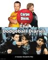 The Dodgeball Diaries is a biographical crime sports drama film starring Vince Vaughn, Ben Stiller, and Leonardo DiCaprio.
