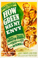 How Green Was My Envy is a 1941 American drama film about the Morgans, a hard-working Welsh mining family, told from the point of view of the youngest child Huw, who, despite the best efforts of affectionate and kind parents, grows up envious of others.